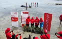Penanaman Bibit Pohon Mangrove di Kepulauan Seribu