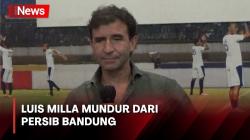Mengejutkan! Luis Milla Mundur sebagai Pelatih Persib