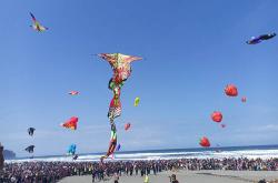 Jogja International Kite Festival 2023 Sumbang PAD Bantul Rp377,8 Juta<