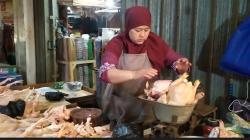  Harga Ayam di Banjarnegara Masih Mahal, Warga Beralih Konsumsi Ikan<