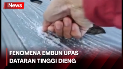 Suhu Dieng Minus 5 Derajat, Embun Es Kembali Muncul