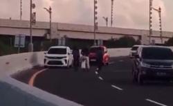 Viral Bule Terobos Jalan Tol hingga Cegat Mobil, Ditawari Tumpangan Malah Berontak<