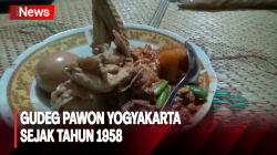 Gudeg Pawon, Refrensi Kuliner Malam Yogyakarta yang Melegenda 