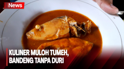 Lezatnya Menikmati Muloh Tumeh, Bandeng Tanpa Duri Khas Aceh 