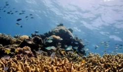 Selalu Jadi Misteri, Ada Apa Sebenarnya di Dasar Laut?