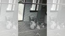 Viral 2 Bocah Curi Uang Kotak Amal Musala di Depok, Polisi Turun Tangan