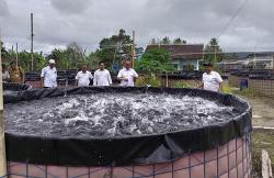 Dinas Kelautan dan Perikanan Bantul Genjot Produksi Ikan Air Tawar Tembus 13.500 Ton 