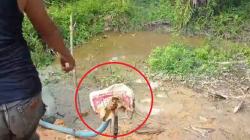 Geger Sumur Bor Keluarkan Bau Gas hingga Percikan Api di OKI, Warga Panik