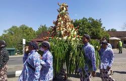 Meriah, Kirab Budaya Sitimulyo Bantul Rebutkan 2 Gunungan Ingkung Ayam<
