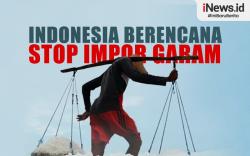 Infografis Indonesia Berencana Stop Impor Garam