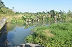 Mengintip Keindahan Sungai Pusur, Wisata Berkelanjutan di Klaten