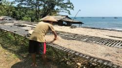 Panas Terik Matahari Musim Kemarau Berkah bagi Perajin Ikan Asin Cilegok Sukabumi<