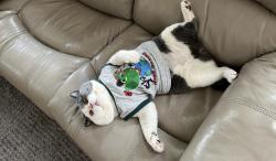 Raup Banyak Cuan, Simak Kisah Sukses Ecan bersama Shopee Affiliate Program