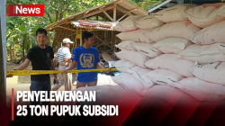 Polisi Tangkap 4 Tersangka Penyelewengan Pupuk Subsidi di Pandeglang  