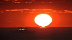 Penyesalan Oppenheimer Atas Bom Atom Hiroshima-Nagasaki: Tangan Saya Berlumuran Darah