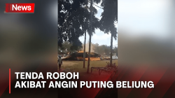 Angin Puting Beliung Terjang Alun-Alun Jember, Puluhan Tenda Roboh