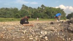  Sungai Mengering, Warga Bireuen Aceh Aji Mumpung Berburu Batu Akik<