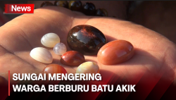 Warga Berburu Batu Akik di Bireun Aceh saat Sungai Mengering