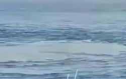 Helikopter Tentara Australia Jatuh di Laut, 4 Orang Hilang