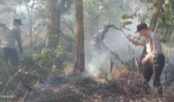 Kebakaran Lahan di Singkawang Utara, Polisi Selidiki Dugaan Sengaja Dibakar