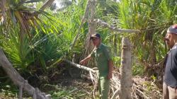 Hilang 9 Hari, Bocah di Cianjur Ditemukan Tewas, Sebagian Jasad Korban Tinggal Tulang<