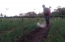 Khawatir Lahan Diserobot Investor, Petani Pesisir Bantul Berharap Sultan Beri Kekancingan 