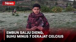 Suhu Minus 7 Derajat Celcius di Dieng, Tanaman Petani Rusak Tertutup Embun Salju