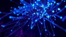 Cara Mempercepat Kecepatan Jaringan di Ponsel, Semuanya Mudah!