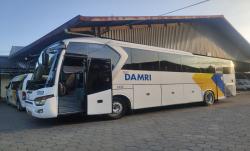 Damri Buka Pemesanan Tiket Bus Lebaran 2024, Cek di Sini Cara Belinya!