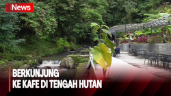 Nusantara Healing and Chill, Kafe Keren di Tengah Hutan yang Asri 