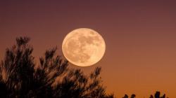 Supermoon 1 Agustus Dijuluki Sturgeon Moon, Diambil dari Nama Ikan