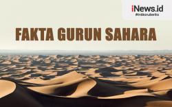 Infografis Fakta Gurun Sahara, Gurun Terluas di Dunia