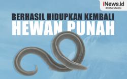 Infografis Ilmuwan Berhasil Hidupkan Kembali Hewan yang Punah Puluhan Ribu Tahun Lalu