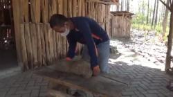 Fosil Kaki Gajah Purba Ditemukan di Hutan Tritik Nganjuk, Usia Diperkirakan 800.000 Tahun