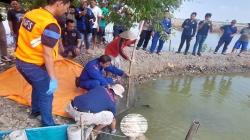 Indramayu Geger, Warga Temukan Mayat Pria Tanpa Busana Telungkup di Empang<