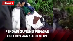 Pendaki Gunung Lemongan Hipotermia dan Pingsan, Evakuasi 10 Jam