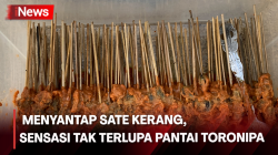 Sensasi Tak Terlupa, Menikmati Sate Pokea Berbahan Kerang di Pantai Toronipa 
