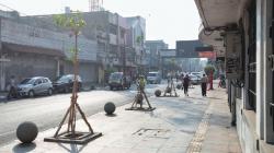 OTW Bandung Teduh, 100 Pohon Pule Ditanam di Jalan Sudirman<