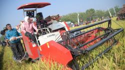 Purwakarta Kembali Panen Raya Musim Gadu, Padi Berlimpah meski Sawah Tadah Hujan <