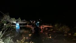 Pohon Jati Setinggi 15 Meter Tumbang, Akses Jalan Desa Banjarsari Pemalang Sempat Terputus