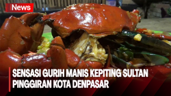 Sedapnya Kepiting Sultan dengan Rasa Gurih Manis 