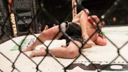 Elon Musk Ingin Duelnya Disiarkan di X, Mark Zuckerberg: Sebaiknya Gunakan Platform Lebih Andal