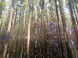 Dukung Tren Fashion Ramah Lingkungan, ESMOD Gelar Kompetisi Fashion di Tengah Hutan 