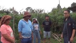 Dapat Kunjungan Bacaleg Partai Perindo Arnod Sihite, Ini Harapan Petani Tomat di Humbahas