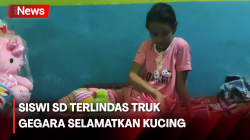  Gegara Selamatkan Kucing, Siswi SD di Labuhanbatu Terlindas Truk Kakinya Diamputasi