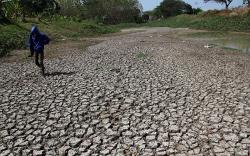 Penampakan Embung Brumbung Jombang Kering
