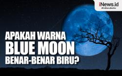 Infografis Apakah Warna  Blue Moon  Benar-Benar Biru?