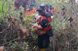 Remaja Bantul yang Hilang di Hutan Dlingo Ditemukan, Kondisinya Lemas dan Bercelana Pendek<