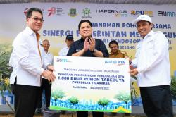 Bank BTN Revitalisasi Taman Hijau di Lingkungan Perumahan