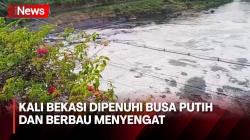 Kali Bekasi Dipenuhi Busa Putih dan Berbau Menyengat, Warga Tetap Cari Ikan